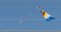 Kite Flying Threatens National Electricity Supply